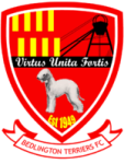 Bedlington Terriers FC