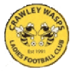 Crawley Wasps W