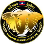 Young Elephant W