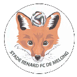 Stade Renard